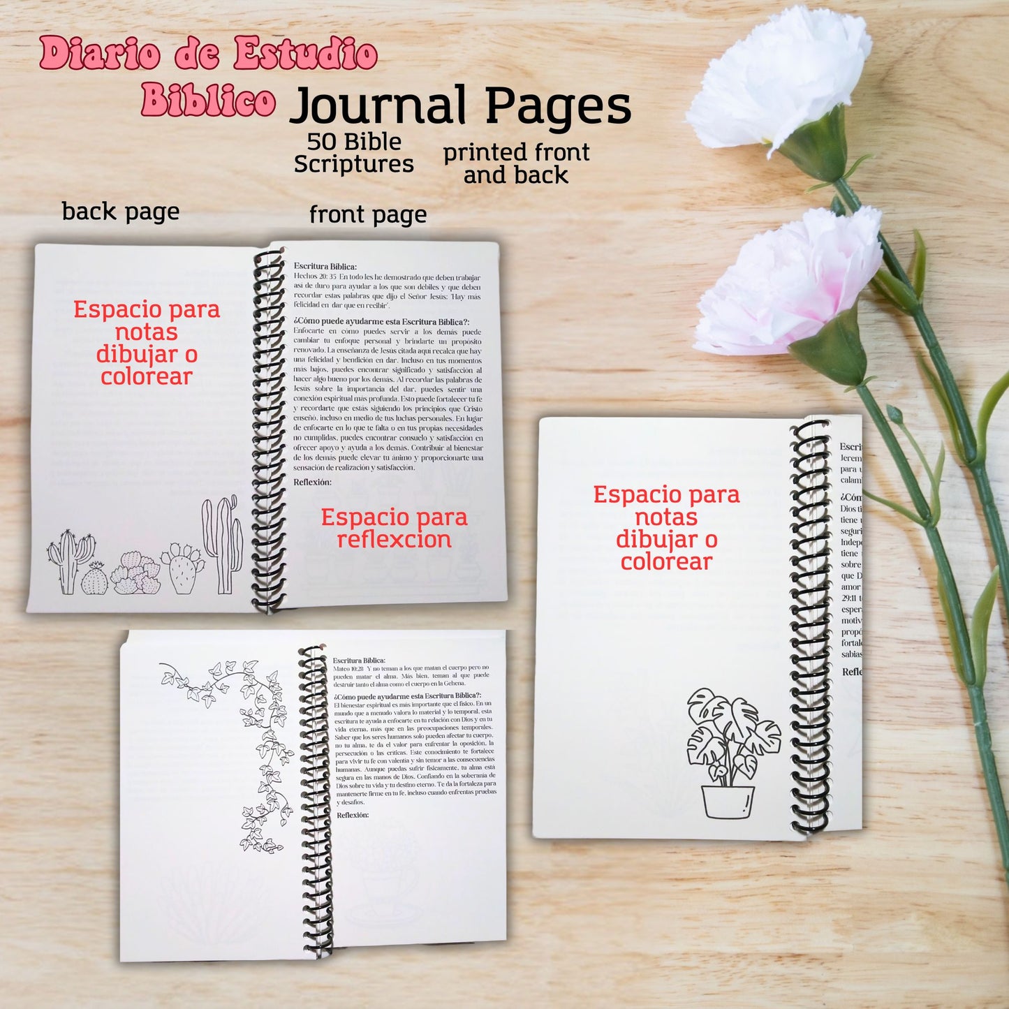 Diario de Estudio Biblico Palabras de Sabiduria-Spanish Bible Study Journal Notebook