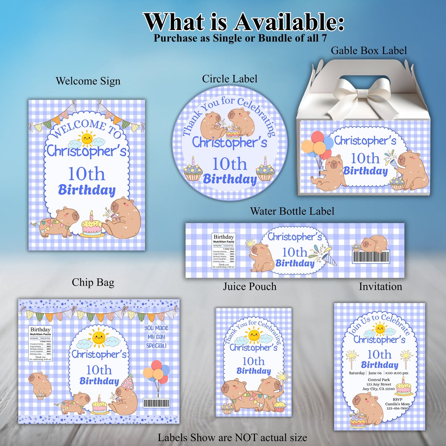 Blue Capybara Birthday Party Sticker Labels