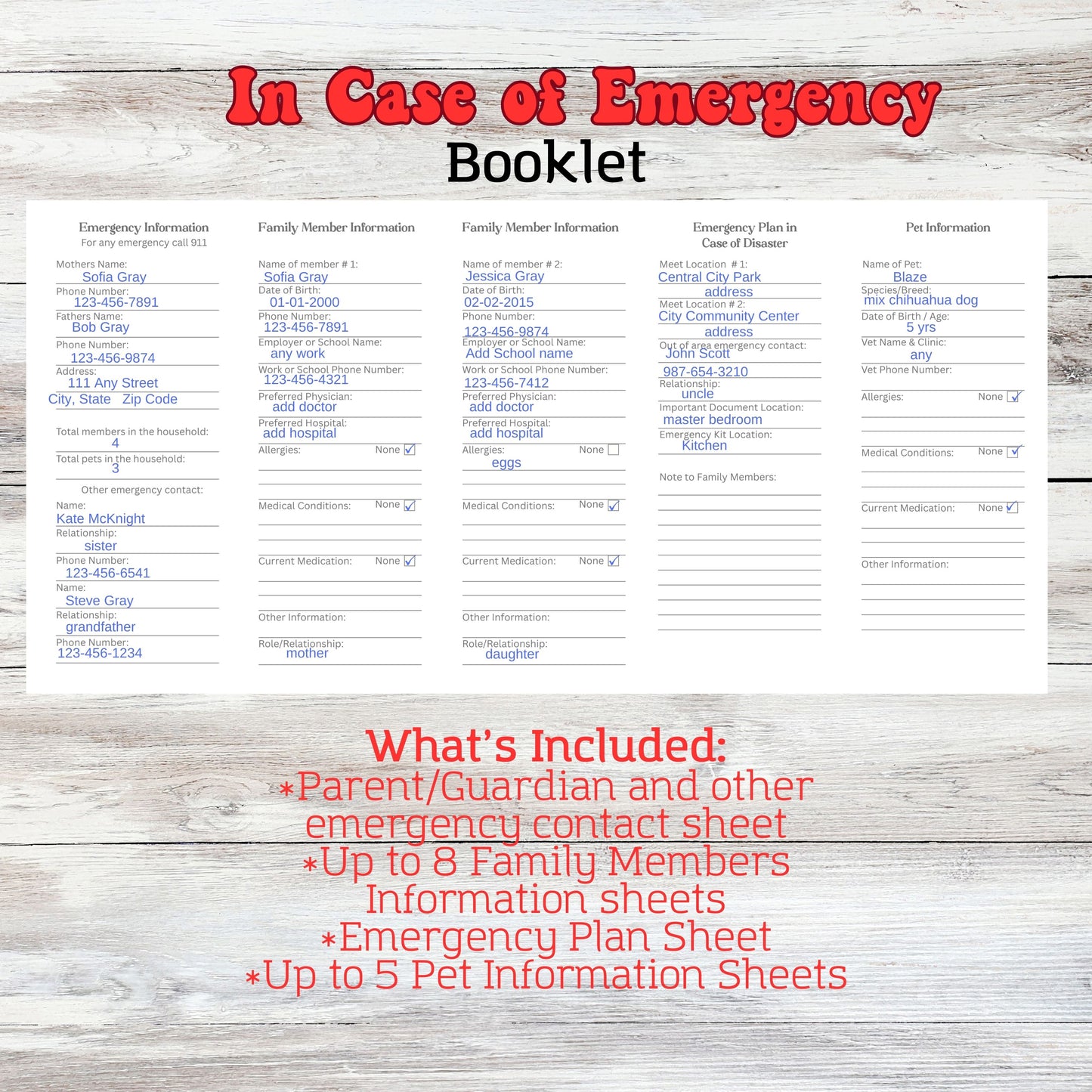 Family In Case of Emergency Booklet Notebook