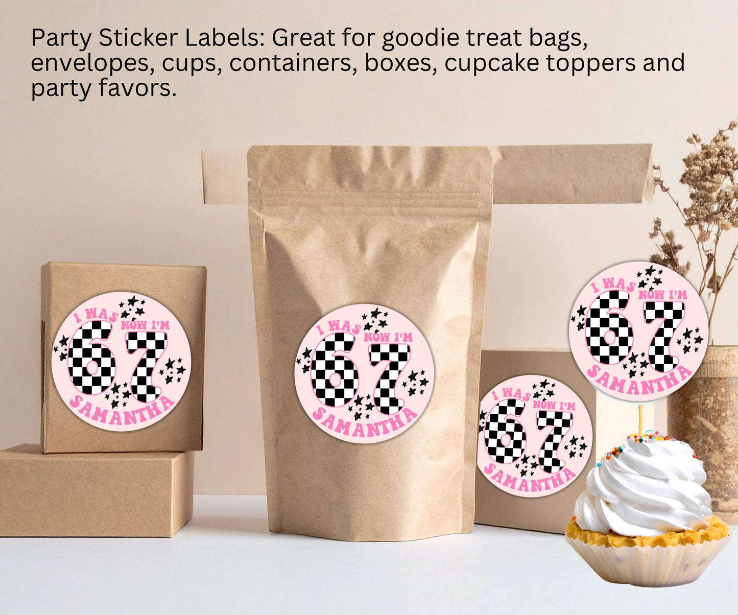 6-7 Checkered Boys Girls Party Sticker Labels