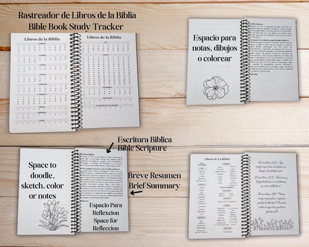 Diario de Estudio Biblico Alentadoras Palabras de Sabiduria-Estudio de Fe Personal-Reflexion Biblica Diaria