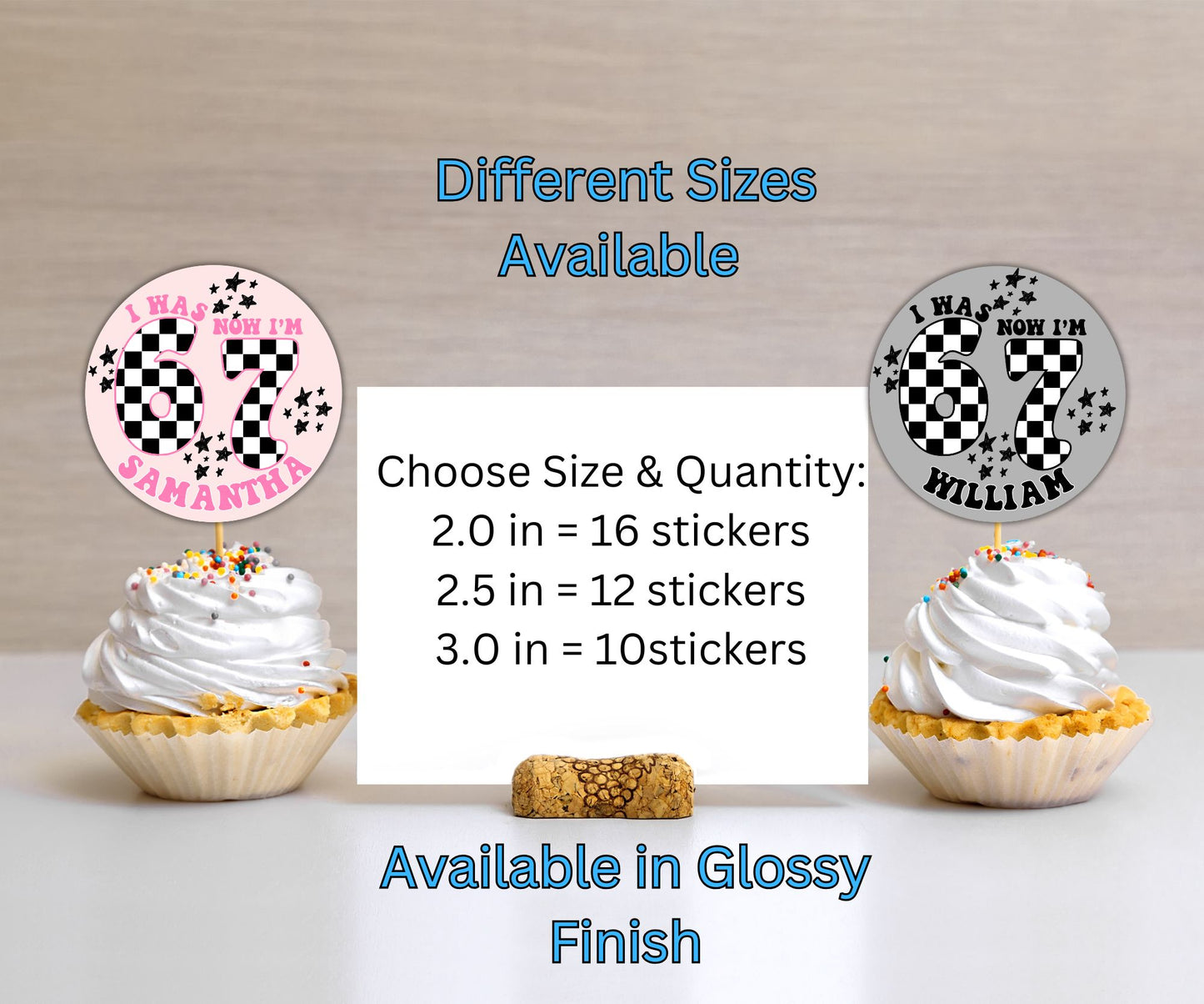 6-7 Checkered Boys Girls Party Sticker Labels