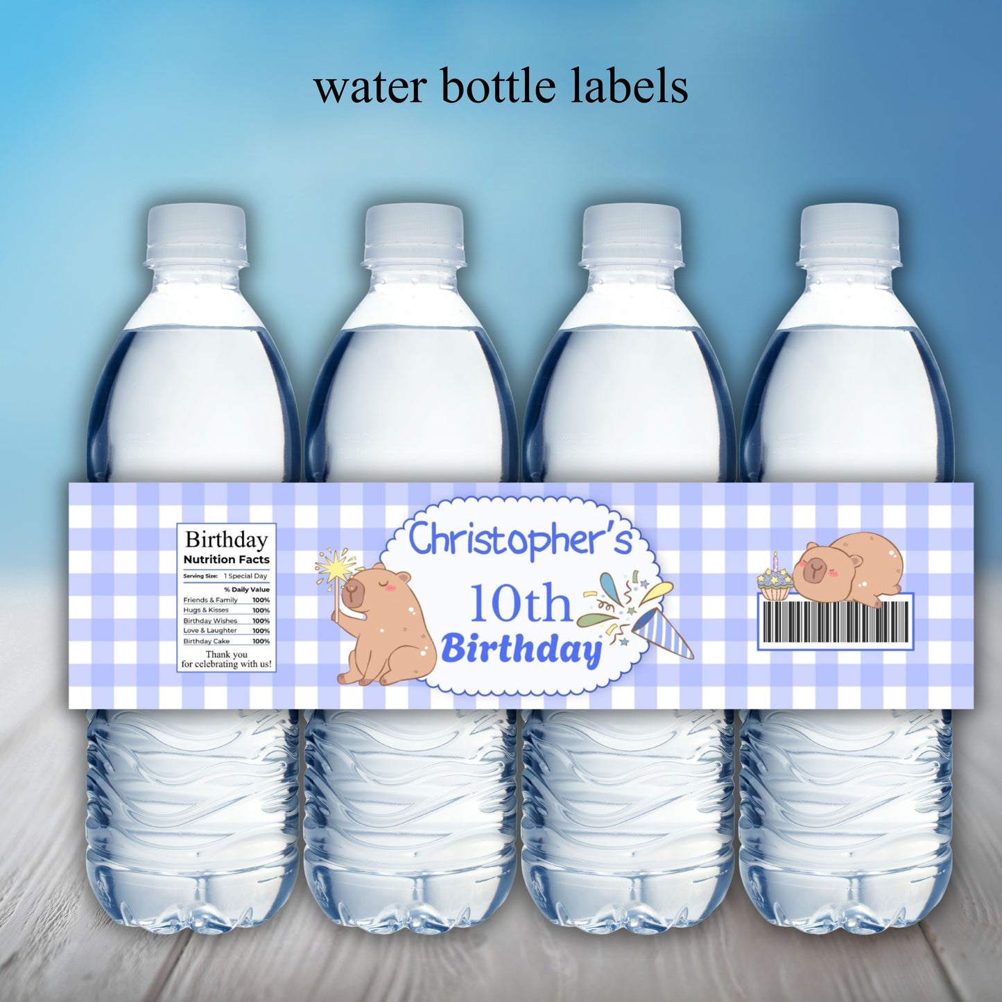 Blue Capybara Birthday Party Sticker Labels